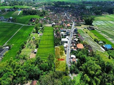 Tanah View Sawah Kedungu Kediri Tabanan