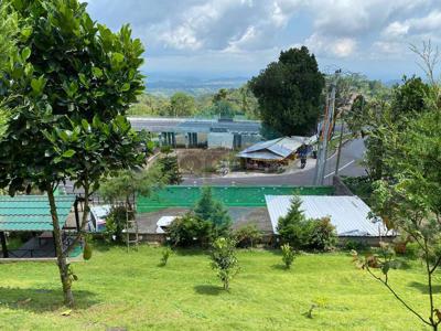 TANAH VILLA BEDUGUL TABANAN BALI