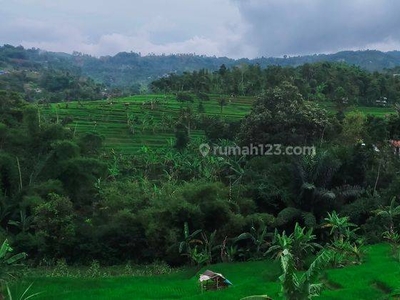 Dijual Tanah Murah Cocok Untuk Dibangun Perumahan Luas 2,6 Ha Daerah Sindanglaya Arcamanik Bandung