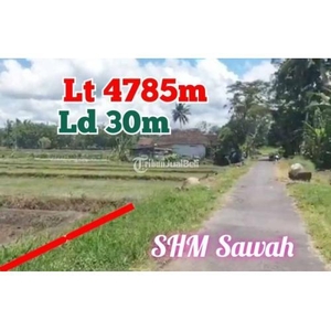 Jual Tanah Utara Pasar Rejodani Jl Palagan Km 10 Dusun Bletik Barat Pondok Pandanaran - Sleman