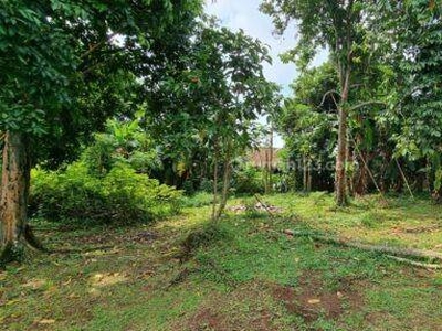 Tanah Dijual di Kota Subang Lokasi Pinggir Jalan Raya Kalijati Dekat Pintu Tol