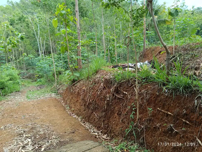 JUAL TANAH DI SIDOMULYO PENGASIH KULONPROGO