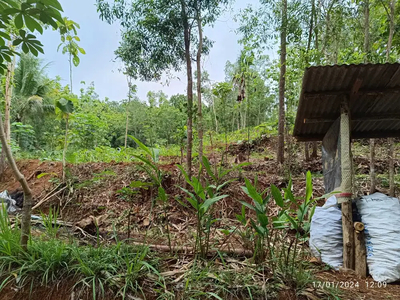 JUAL TANAH KULONPROGO DI SIDOMULYO PENGASIH