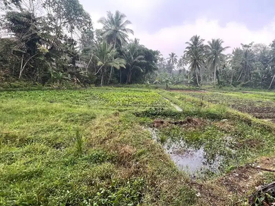 Lahan utk Healing 1 Hektar di Sukaratu Majasari Pandeglang Banten