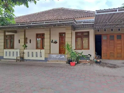 Rumah Homestay Minimalis Tanah Luas dekat Malioboro dan kraton Jogja