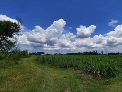 Tanah Dijual: 2,6 Km SMK N 2 Ujungrusi Adiwerna Tegal