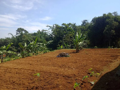 tanah kosong cocok buat rumah di ciawi kab bogor