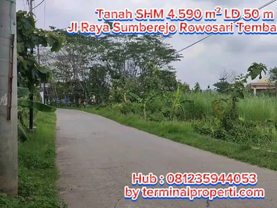Tanah SHM 4590 m2 di Jl Raya Sumberejo Kel Rowosari Kec Tembalang