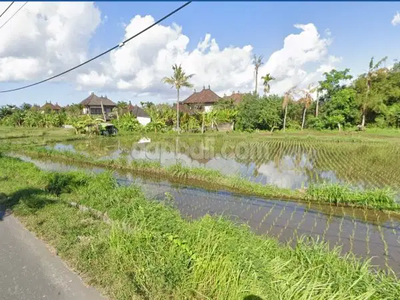 2,790² of prime land for sale in Keramas beach, Gianyar, Bali