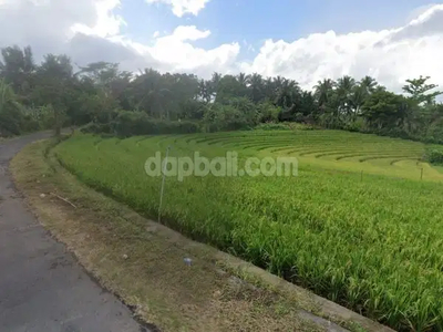 3,950m² land surrounded by rice fields for sale near Soka beach, Bali