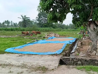 DEKAT DUA JALUR ITERA DAN KORPRI SUKABUMI TANAH DIJUAL MURAH BANGED