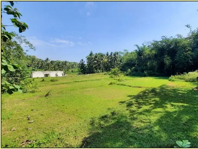 Dekat Tol Sentolo Jogja, Tanah Nanggulan Cocok Villa
