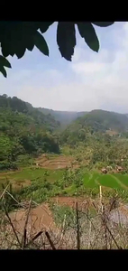 Di jual kebun murah ada sungai di Cimande Caringin bogor