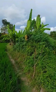 DI JUAL TANAH LUASAN KECIL VIEW SAWAH pemaron dekat canggu