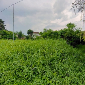 Dijual Lahan Premium di Goa Gajah Ubud view sawah