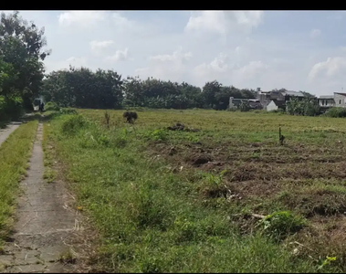 DIJUAL LAHAN TANAH JL. GAGAK SIPAT NGEMPLAK BOYOLALI