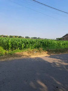 DIJUAL SAWAH PINGGIR JALAN COCOK KAVLINGAN