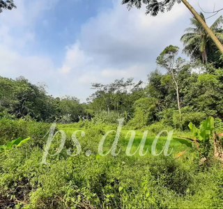 Dijual tanah kebun subur dekat lintasan tol Bocimi tahap 3