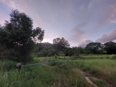 DIJUAL tanah KOMERSIL (PEMILIK LANGSUNG) di Cilegon Banten