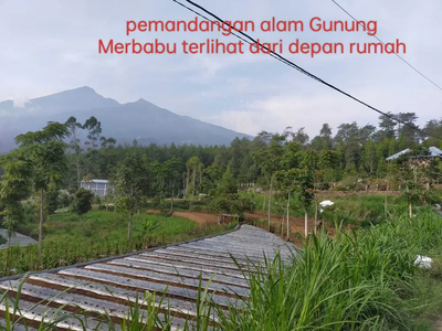 Dijual Tanah Luas 3.980m Di Kopeng Salatiga Jawa Tengah