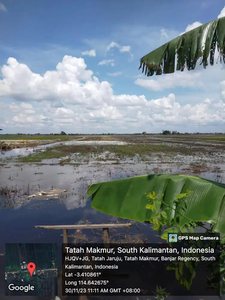 DIJUAL TANAH PERSAWAHAN AREA GAMBUT DESA KAYU BAWANG