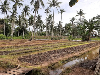 Dijual Tanah Perwatasan kebun daerah Lamaru, Balikpapan