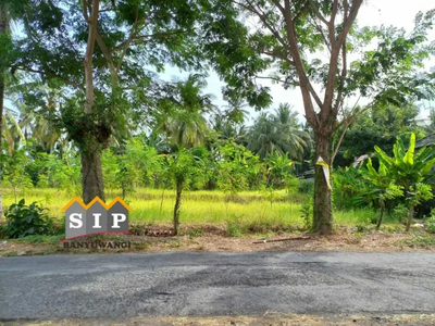 Dijual Tanah Strategis di Jl. Denpasar Kalipuro, Banyuwangi