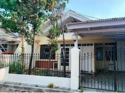 Disewakan Rumah Siap Huni Nirwana Merr