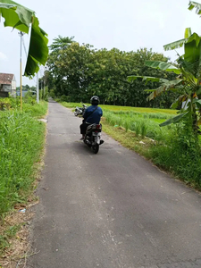 Disewakan Tanah Pekarangan Dekat UII Jakal Jogjakarta(KODE D.2712) Lo