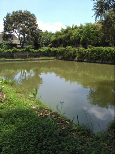 Empang atau Kolam siap jual untuk pemancingan, kontrakan, dan restoran