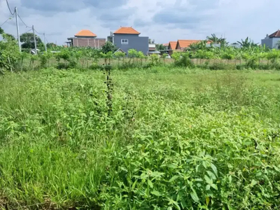 Jua tanah di kawasan Hayam Wuruk dkt akasia Renon Denpasar Bali