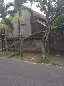 Jual Tanah 200M2 Rp 500Jt/Are isi Rumah Kos di Siulan