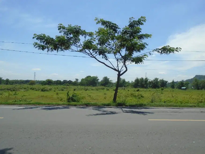 Jual Tanah Area Industri Raya Tuban Babat raya provinsi