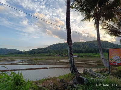 JUAL TANAH DI GIRIMULYO KULONPROGO VIEW SAWAH