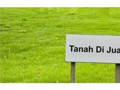 jual tanah manyar tirtomoyo