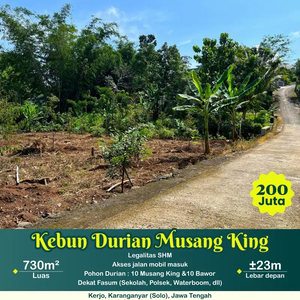 Kebun durian murah dekat jalan raya dikerjo