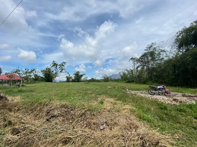 Ladang Tepi Jalan Desa Lingga Julu