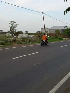 Lahan pinggir jalan raya cerme gresik