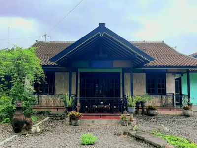 Rumah Jawa Antik Luas Dekat Kampus 1 Univ. Ahmad Dahlan - *YOGYAKARTA*