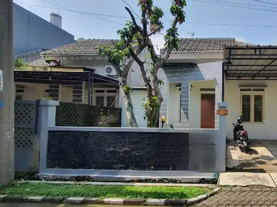 Rumah Murah Bogor Timur 1 Lantai Pajajaran Regency