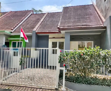 Rumah Murah Minimalis Area Tidar Bawah Dekat Kampus