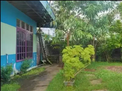 Rumah nyaman di tengah kota dengan halaman yang luas