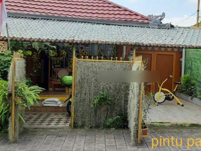 Rumah unik nyaman di Nusa indah Denpasar Bali