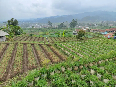 Tanah 1 Hektar Mainroad Raya Ciwidey, Cikembang