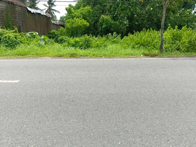 TANAH 13 ARE PINGGIR JALAN UTAMA TEGAL BADENG TIMUR KE PENGAMBENGAN