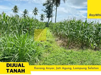 Tanah 1,5 Ha karang anyar jati agung lampung selatan