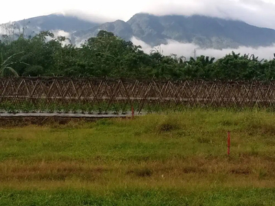 Tanah Cocok Kavling Villa View Gunung Salak Pinggir Jalan Kalapa Tujuh