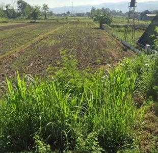 TANAH DI BANGUNTAPAN COCOK UNTUK HUNIAN,GUDANG & INVESTASI