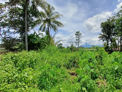 Tanah Dijual Jogja, Dekat UII Cocok Investasi, 1 Jutaan Termurah