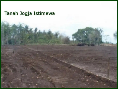 Tanah Jl. Deandels Purworejo Dekat Pantai Roro Inten